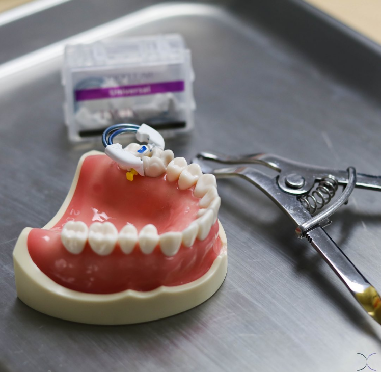 No.18 TwinRing Universal 2pk (트윈링 유니버설)