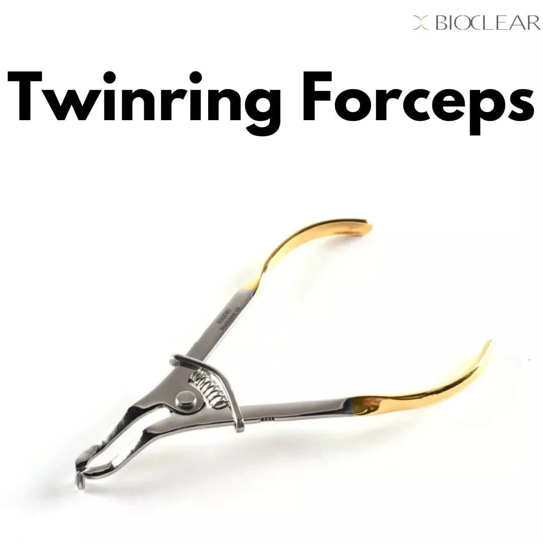 No.5 Intro Evolve All-in-One Select Kit (구치부 키트)